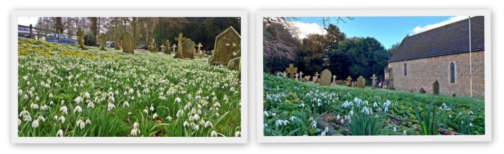 Snowdrops at St Botolph's Church, Swyncombe, Oxfordshire

Photos by Anne Byrne and Mark Percy