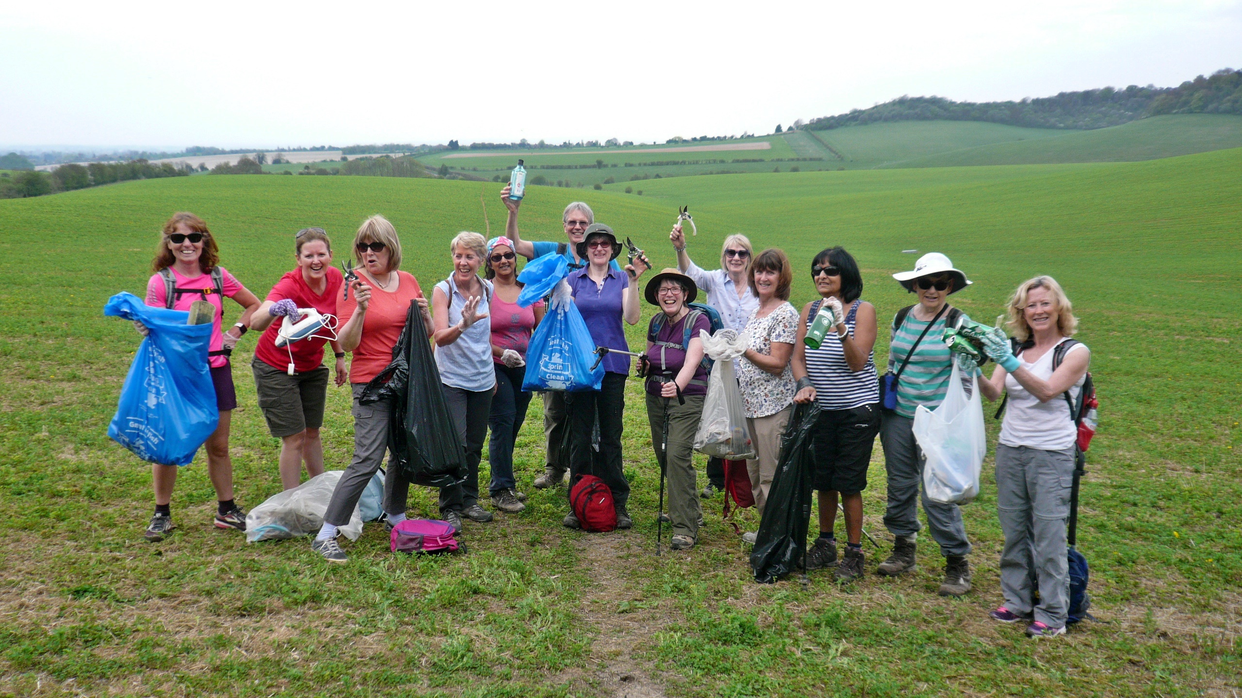 Litter pick