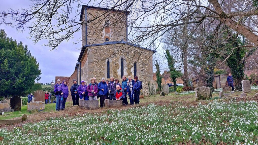 Snowdrops in Radnage
