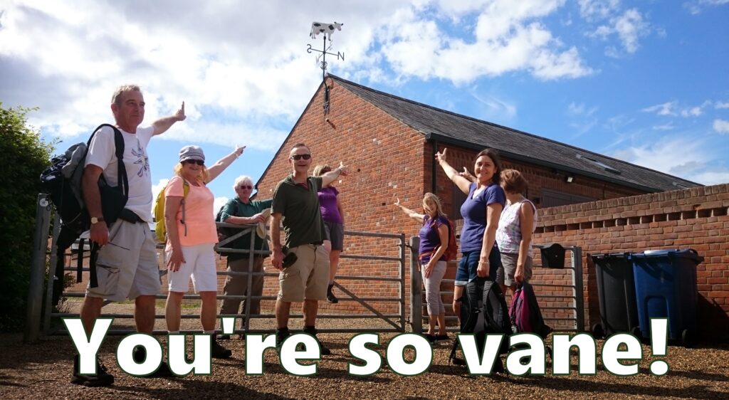 You're so vane!