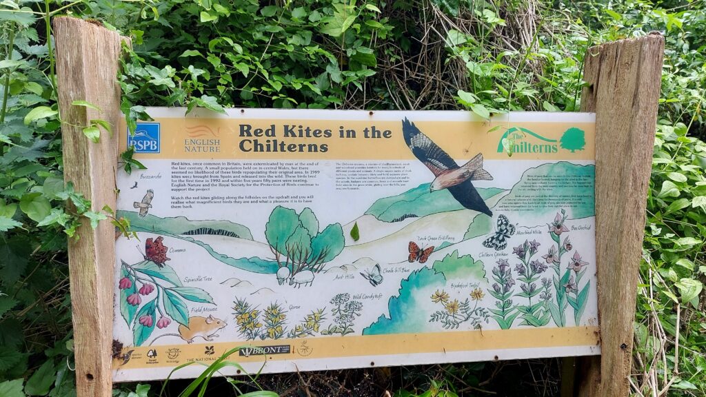 Kite info board