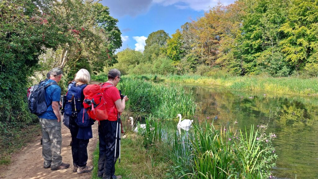 Wendover Arm canal