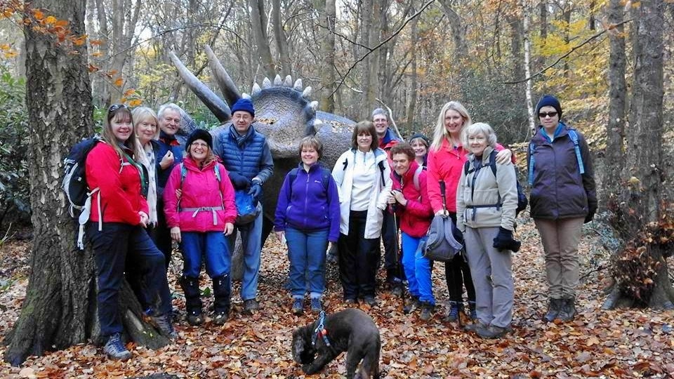 Buckland Common 'dinosaur'