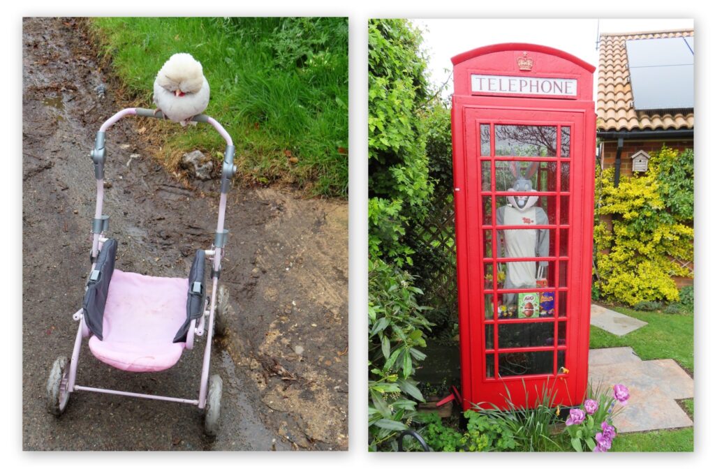 Quirky finds in Wigginton - photos by Tim Axten