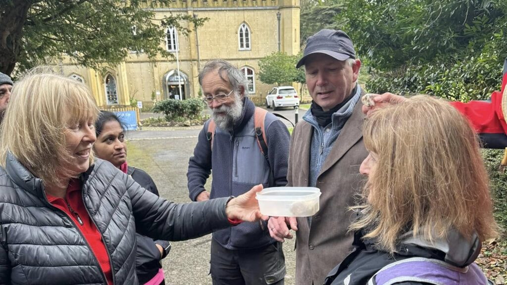 Sweet treats at Missenden Abbey 