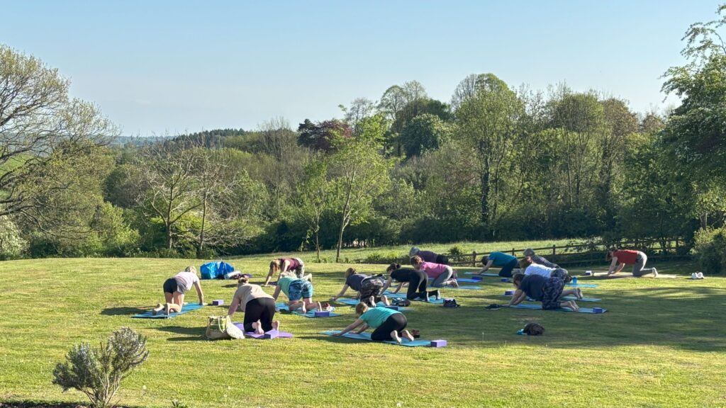 Yoga on the lawn