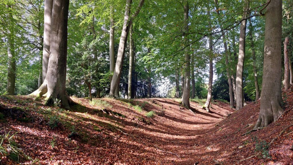 Cholesbury Camp - photo by Mark Percy