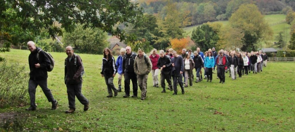 Huge turnout for a walk in 2012